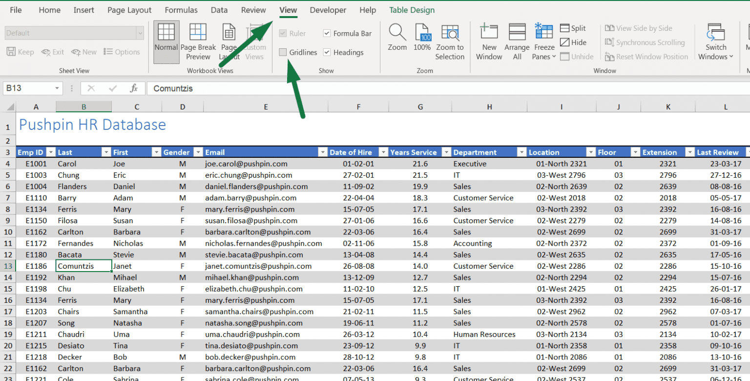 Hiding Gridlines in Excel (With 3 Shortcuts)