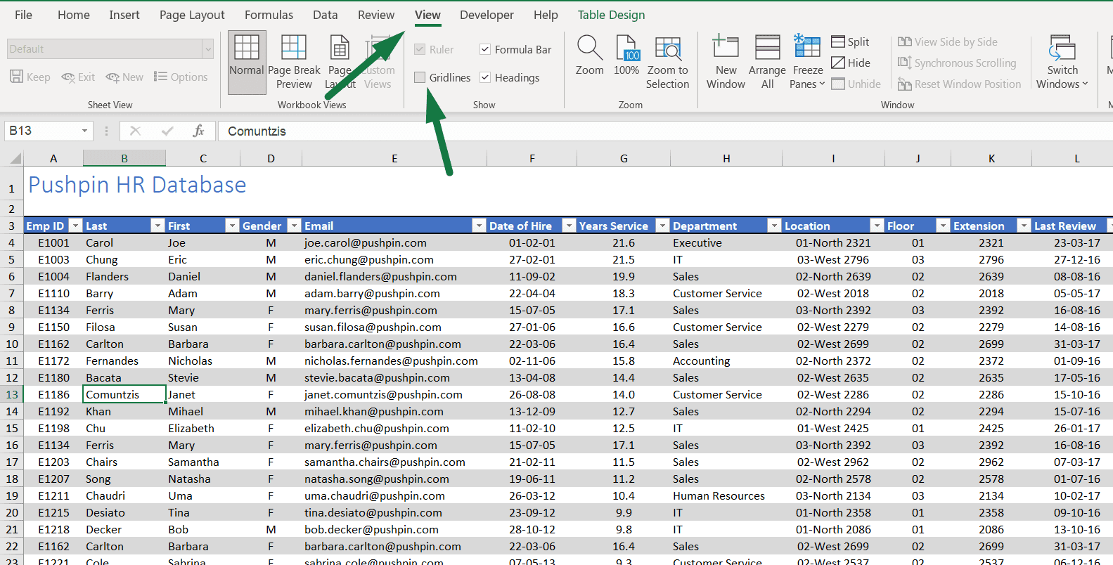 hiding-gridlines-From-the-View-Ribbon