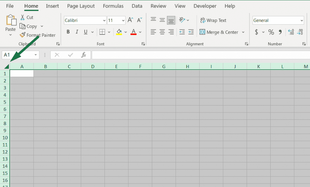 how to Select the Whole Sheet in excel