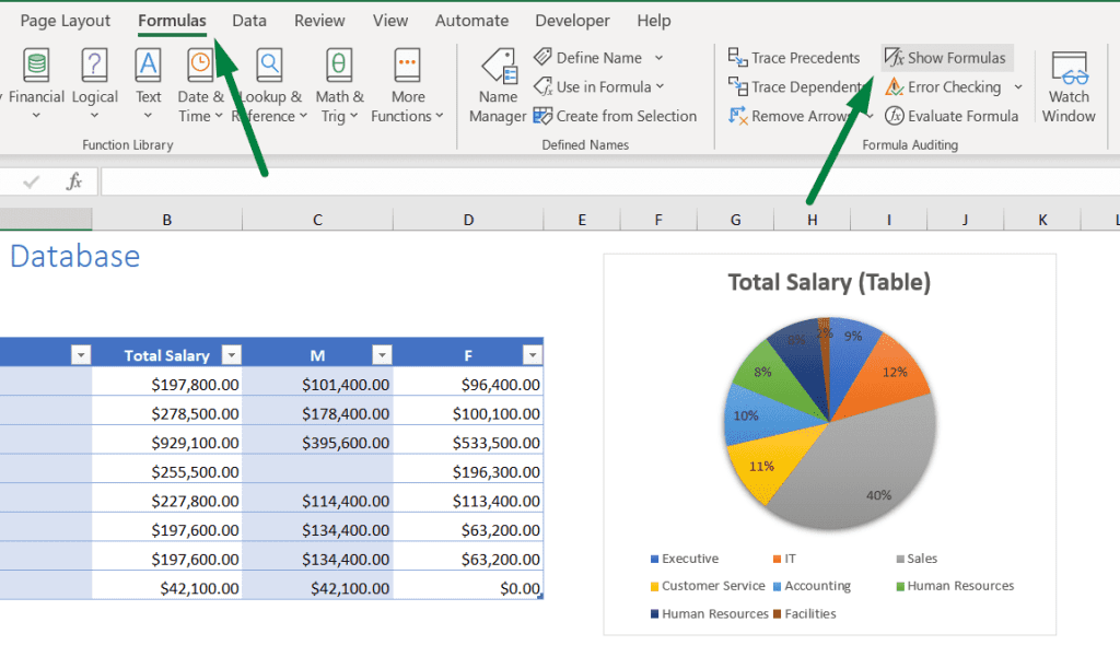 How to Display Formulas in Excel From the Formulas Ribbon Step 1